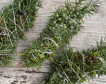 Aroma amaderado, aroma de enebro, incienso natural