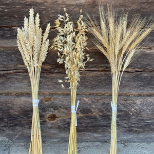 Dried wheat, oats, rye, linen bouquets, flax