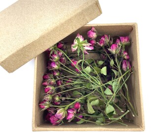 May include: A small, open, square cardboard box filled with dried pink rose buds and green stems. The box is a light brown color, and the lid is slightly ajar. The roses are a deep pink color, and the stems are a vibrant green.