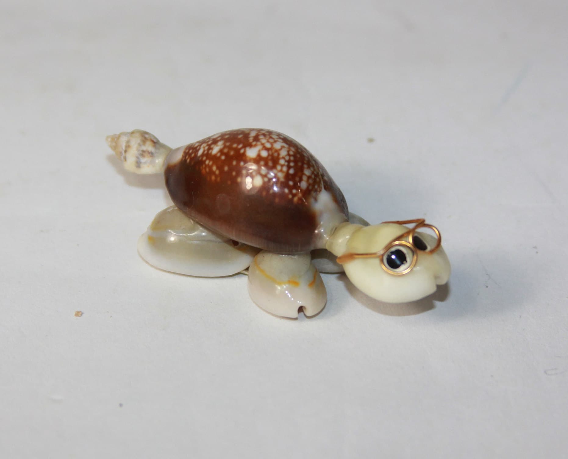 CUTEST Tiny Turtles With Glasses And Googly Eyes Seashell Cowrie
