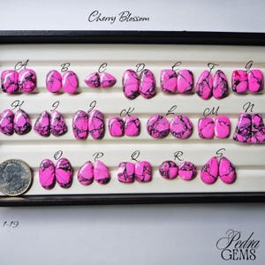 Könnte beinhalten: Eine Sammlung von pinkfarbenen und schwarzen Cherry Blossom Edelstein-Cabochons in verschiedenen Formen, darunter oval, tropfenförmig und quadratisch. Die Edelsteine sind in einer Vitrine angeordnet, mit dem Text "Cherry Blossom" oben.