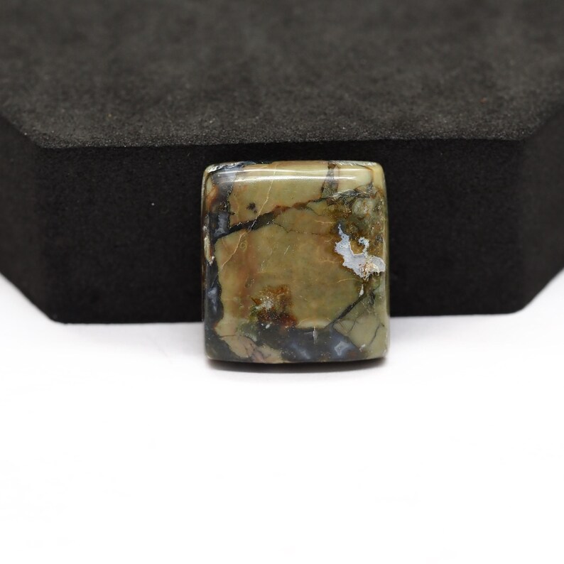 K&ouml;nnte beinhalten: Ein quadratischer, polierter Edelstein-Cabochon mit einem gesprenkelten Muster in Olivgr&uuml;n, Hellbraun und Dunkelbraun, durchzogen von feinen schwarzen Adern und kleinen wei&szlig;en Einschl&uuml;ssen auf der glatten, gl&auml;nzenden Oberfl&auml;che.