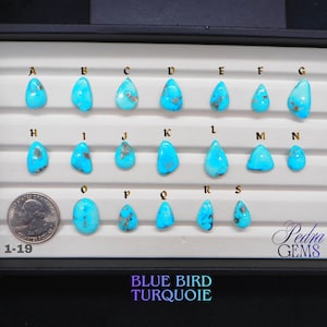 Blue Bird Turquoise Cabochon Natural Gemstone Handpicked Arizona Stone