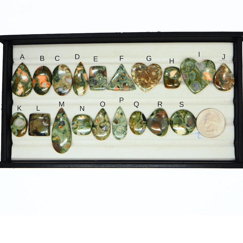 K&ouml;nnte beinhalten: Eine Sammlung polierter Cabochons in verschiedenen Formen, beschriftet von A bis S, mit gr&uuml;nen, braunen und orangefarbenen gesprenkelten Mustern. Die Steine sind auf einem wei&szlig;en Pr&auml;sentationstablett neben einer M&uuml;nze zum Gr&ouml;&szlig;envergleich angeordnet.