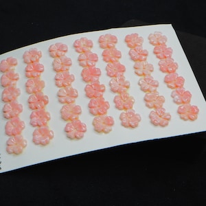 Flor tallada de caracola rosa, concha natural, cuentas individuales de 5 pétalos para hacer joyas