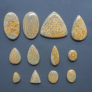 Fossil Coral Cabochon: Hand Polished Agatized Gemstone