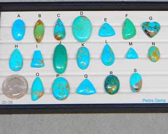 May include: A collection of turquoise gemstones in various shapes, including oval, teardrop, and triangular. The stones are displayed in a black tray with a white interior. Some stones have brown matrix patterns. A US quarter is included for size reference.