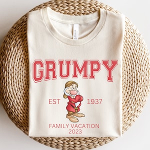 Grumpy Shirt, Seven Dwarfs Shirt, Disney Shirt, Disneyland Shirt, Disney World Shirt, passende Familie Disney Shirts, Schneewittchen, Grumpy