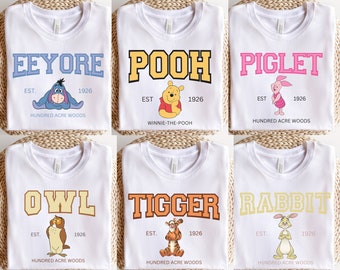 Varsity Winnie the Pooh Camisa, Camiseta Disney, Camisa Disneyland, Camiseta Disney World, Oso Pooh Vintage, Jersey Estilo Disney Eeyore, Tigger, Piglet