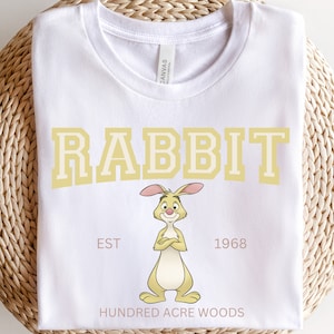 Winnie the Pooh Shirt, Rabbit Shirt, Disney Shirt, Disneyland Shirt, Disney World Shirt, Vintage Pooh Bear, Jersey Style Disney Shirt