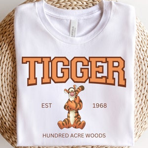 Tigger Shirt, Disneyland Shirt, Disney Shirts, Family Disney Shirt, Disney World Shirt, Disney Shirts, Pooh Bear and Friends Shirt