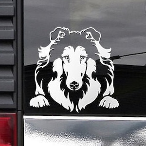 Peeking Rough Collie Decal - mostra cane, cane da pastore, adesivo per paraurti di razza di cane per auto, computer portatili
