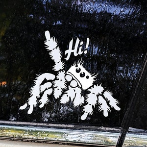 Op de afbeelding: Een witte vinyl sticker van een cartoon spin met het woord "Hi!" erboven. De sticker zit op een zwart autoruit.