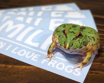 MILF Man I Love Frogs Decal - cute funny froggy bumper sticker