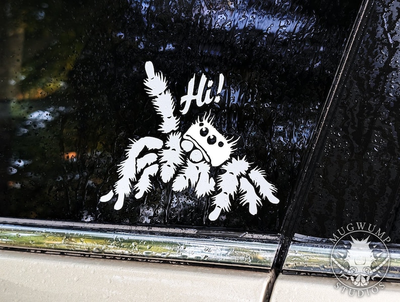 A photograph of a cute jumping spider decal. The jumping spider is looking up and raising one leg to wave a greeting. He says 'Hi!' The photograph is taken on a car window after a fresh rain with water droplets.