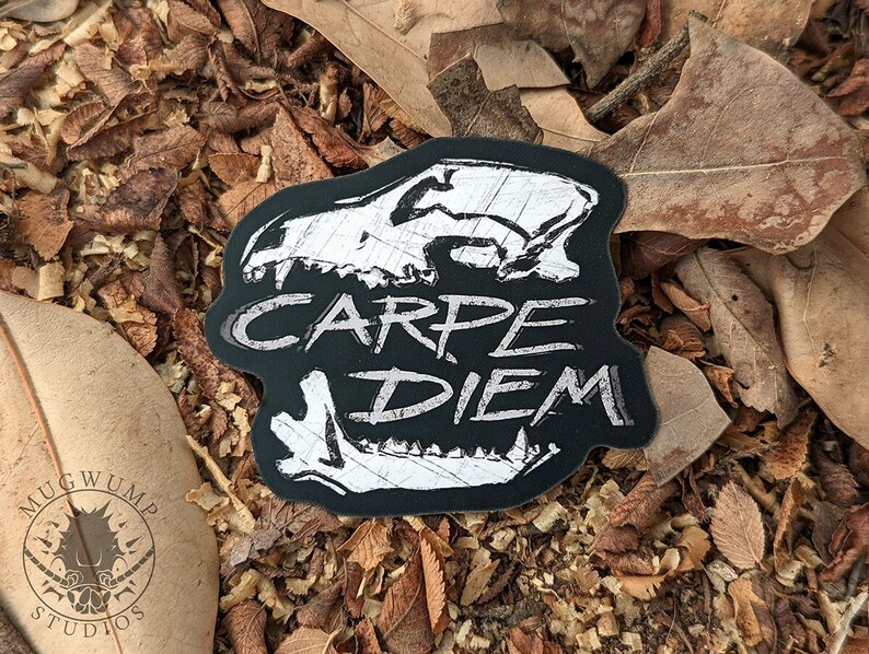 Carpe Diem Vinyl Sticker - Etsy