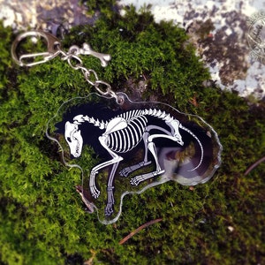 Peut inclure: Un porte-cl&eacute;s en acrylique transparent repr&eacute;sentant un squelette de chien blanc en position recroquevill&eacute;e. Le porte-cl&eacute;s est attach&eacute; &agrave; une cha&icirc;ne en m&eacute;tal argent&eacute; et &agrave; un anneau en m&eacute;tal argent&eacute;.