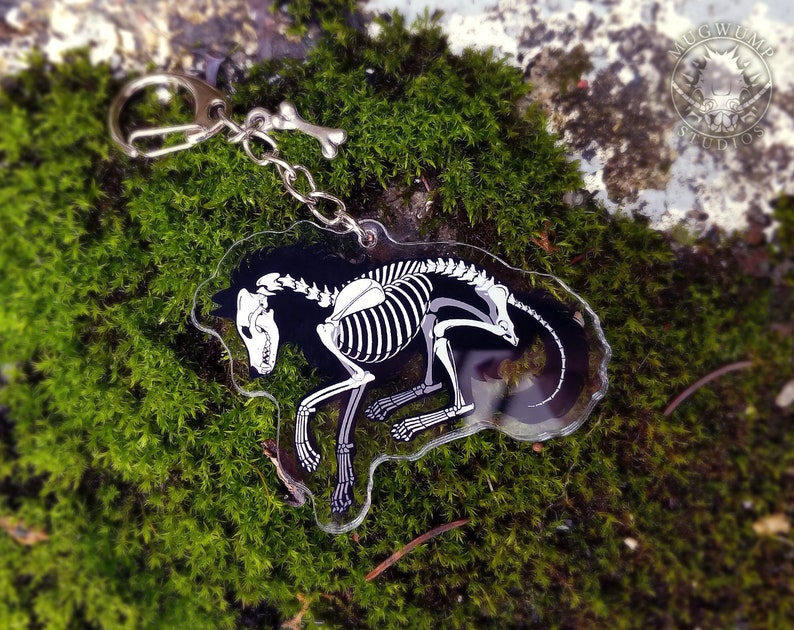 Peut inclure: Un porte-cl&eacute;s en acrylique transparent repr&eacute;sentant un squelette de chien blanc en position recroquevill&eacute;e. Le porte-cl&eacute;s est attach&eacute; &agrave; une cha&icirc;ne en m&eacute;tal argent&eacute; et &agrave; un anneau en m&eacute;tal argent&eacute;.