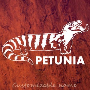 Personalisierbarer Skink Aufkleber - Personalisierter Haustier Aufkleber - Vinyl Aufkleber, Autoaufkleber für Terrarium, Auto, Laptops