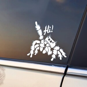 A photograph of a cute jumping spider decal. The jumping spider is looking up and raising one leg to wave a greeting. He says 'Hi!' The photograph is taken on a car window during a soft sunset.