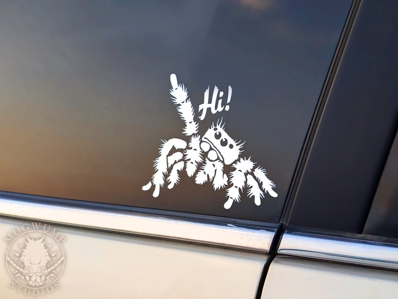 A photograph of a cute jumping spider decal. The jumping spider is looking up and raising one leg to wave a greeting. He says 'Hi!' The photograph is taken on a car window during a soft sunset.
