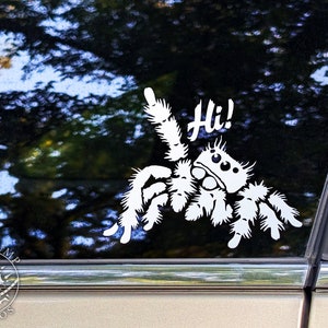 A photograph of a cute jumping spider decal. The jumping spider is looking up and raising one leg to wave a greeting. He says 'Hi!' The photograph is taken on a car window with a forest reflecting in the glass.
