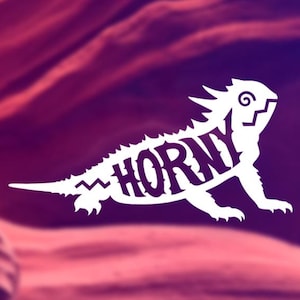 "Geile Kröte "" Horny"" - Wüsten-Eidechse, lustiges Reptil, Südwesten, Herp- Vinyl Aufkleber, Autoaufkleber für Autos, Laptops."
