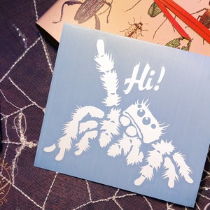 A photograph of a cute jumping spider decal. The jumping spider is looking up and raising one leg to wave a greeting. He says 'Hi!' The photograph is of the decal sitting top of a spiderweb lace tablecloth and a bug-themed notebook.