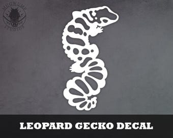Leopardgecko Aufkleber - Reptil, Eidechse, Herp Vinyl Aufkleber, Autoaufkleber für Autos, Laptops