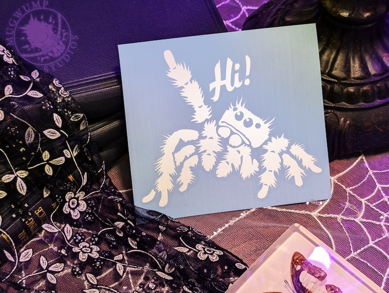 A photograph of a cute jumping spider decal. The jumping spider is looking up and raising one leg to wave a greeting. He says 'Hi!' The photograph is of the decal sitting top of a spiderweb lace tablecloth.