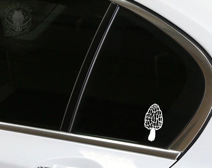 Mushroom Decal Questionable Morels Mycologist Mycology - Etsy
