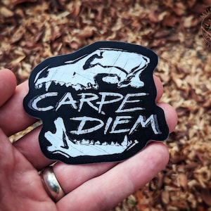 Carpe Diem - Naklejka winylowa