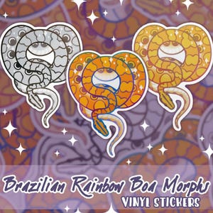 Brasilianische Regenbogen Boa Vinyl-Aufkleber - Schlangenaufkleber, Geister-Regenbogenboa, Hypo-Regenbogenboa
