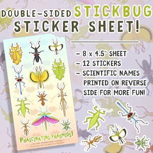 Stick bug sticker sheet - phascinating phasmids, cute bug stickers, insect stickers, entomology stickers