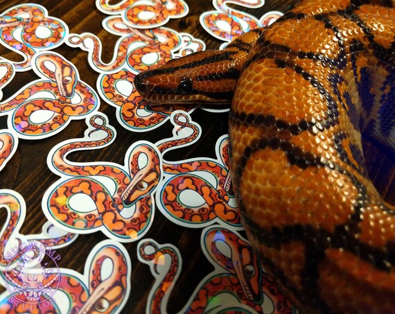 bathroom Sticker of snakes