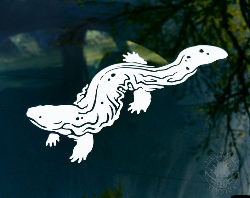 Hellbender Decal - Amphibian, Salamander, Herp Vinyl Bumper Sticker - Etsy