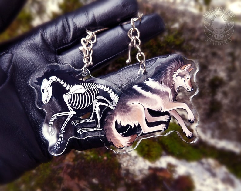 May include: A clear acrylic keychain with a wolf skeleton on the left side and a wolf with fur on the right side. The keychain is in the shape of a wolf. The wolf skeleton is white and the wolf with fur is gray and white. The keychain has a silver metal chain attached to it.