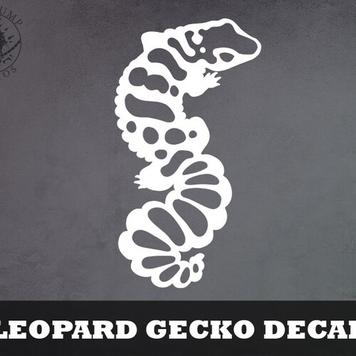 Ball Python Decal Spiral Snake Sticker Snake Decal Serpent | Etsy