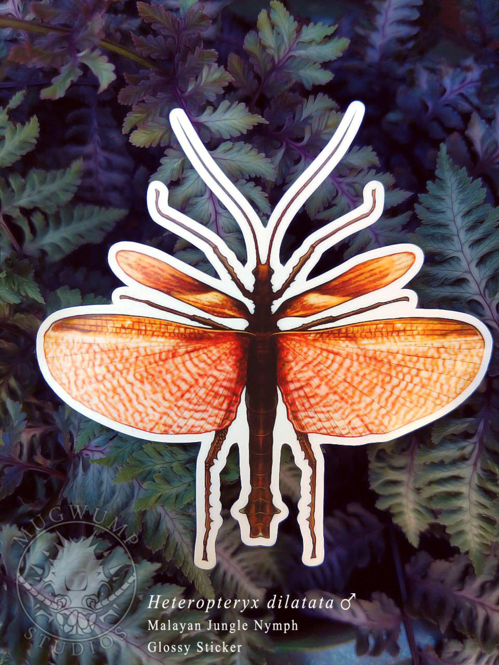 Leaf Bug Sticker, Malayan Jungle Nymph, Heteropteryx Dilatata, Insect ...