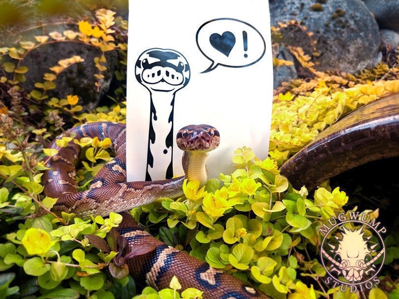 May include: A brown and black snake with a white heart sticker with an exclamation point in a speech bubble. The snake is in a bed of green and yellow plants.