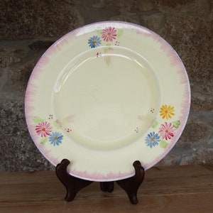 May include: A white ceramic plate with a pink rim and floral design. The plate features a delicate floral pattern in shades of pink, blue, and yellow. The plate is displayed on a wooden stand.