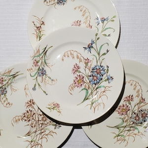 Set of 4 flat plates in Luneville earthenware, Bleuet model, ironstone - Antique French Vintage - Country chic, Shabby, Polychrome