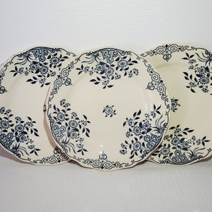 Flat plate in earthenware from Sarreguemines model Moscow, iron earth - Antique French Vintage - Country chic, Shabby chic, Cottage chic