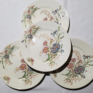 Set of 4 flat plates in Luneville earthenware, Bleuet model, ironstone - Antique French Vintage - Country chic, Shabby, Polychrome