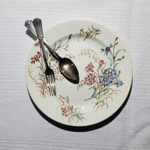 Luneville earthenware serving dish, Bleuet model, ironstone - French Antique Vintage - Country chic, Shabby, Polychrome, Plate