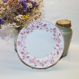 Round earthenware dish from Creil and Montereau, Mignardise model, iron earth - Antique French Vintage - Country chic, Shabby chic, Vegetable dish