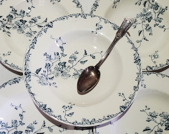 Set di 5 piatti fondi della fabbrica di terracotta di Luneville, modello Printemps, pietra di ferro - Antique French Vintage - Country chic, Vellutato