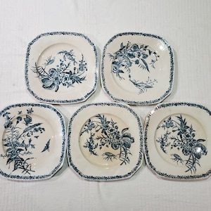 Set of 5 dessert plates in Pexonne earthenware model Fleurs de Champs, iron earth - Antique French Vintage - Chic countryside, Shabby