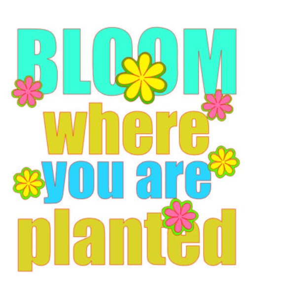 Download Summer Flower Svg Etsy