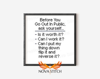 Before you go out in public, ask yourself... - Funny Subversive Cross Stitch Pattern